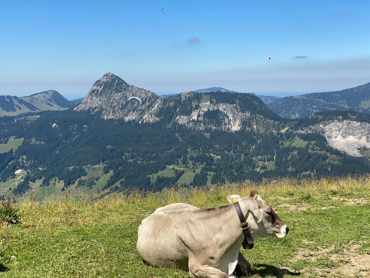 Apartament Mountain Moments Tannheim - Familie Weber Zewnętrze zdjęcie
